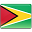 Guyana flag